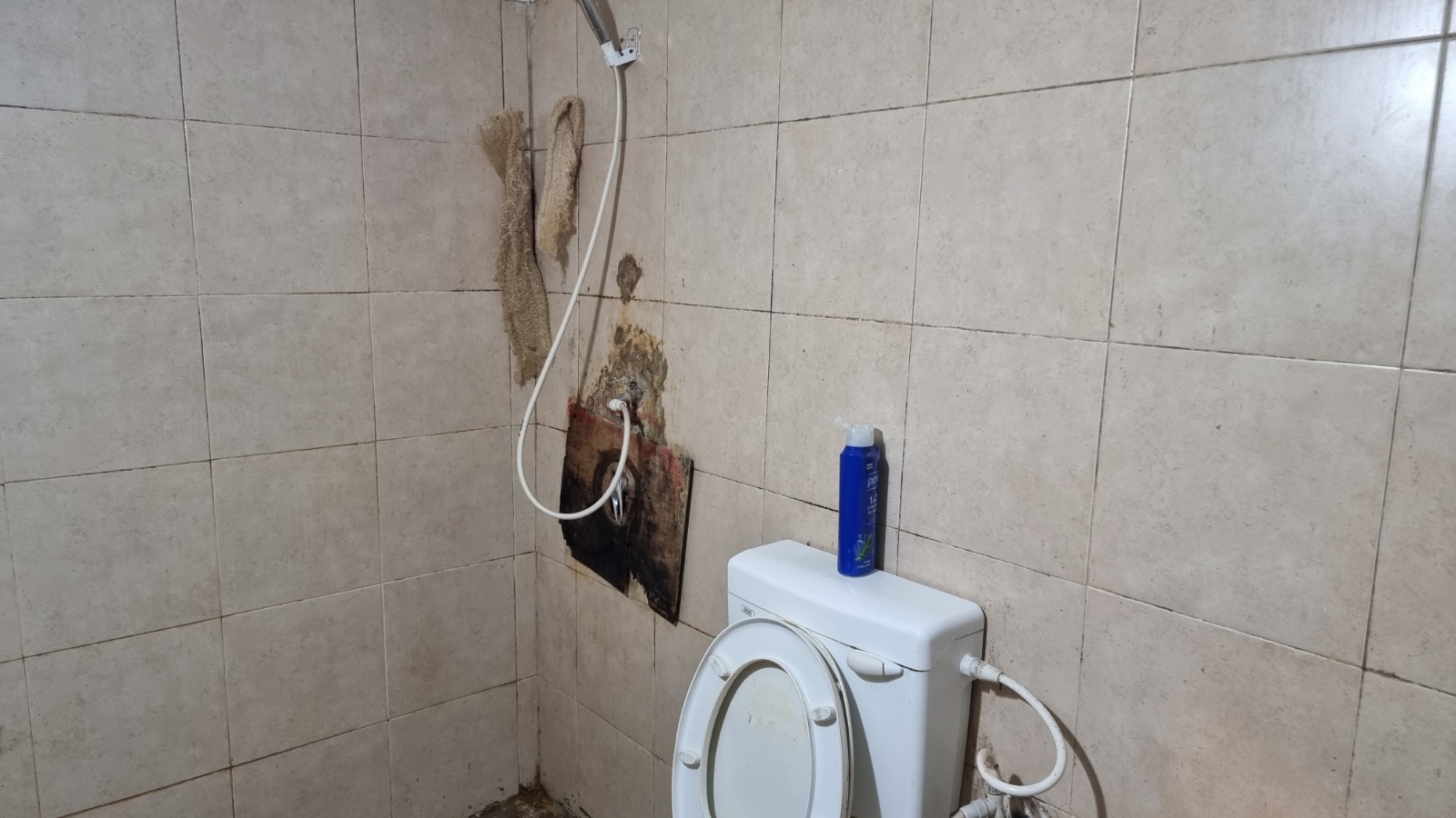 WhatsApp Image 2021-08-13 at 9.56.17 PM.jpeg